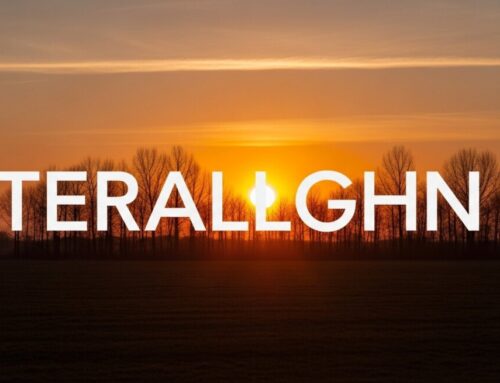 Generating Quality Divorce Attorney Leads in Fort Lauderdale